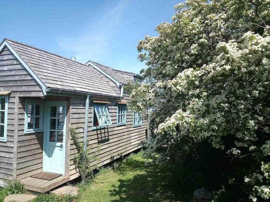 Villa Tiny House On Isolated Farm By The Cornish Coast à Bude Extérieur photo