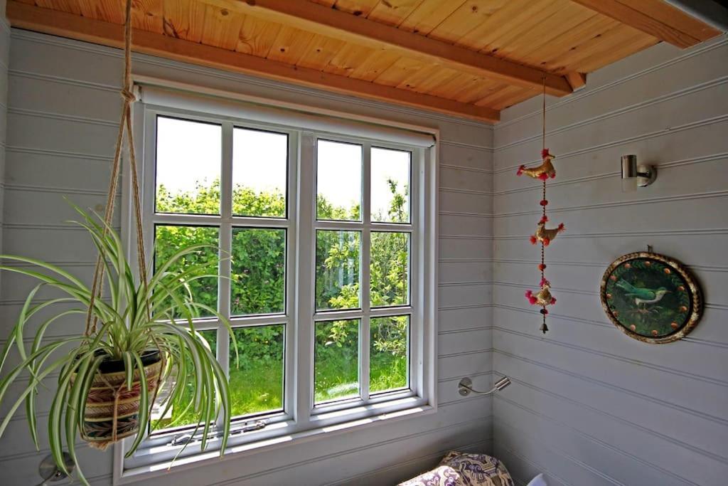 Villa Tiny House On Isolated Farm By The Cornish Coast à Bude Extérieur photo
